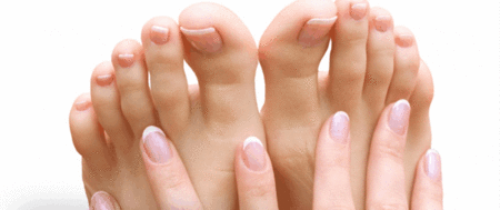 Ella Bache - Winery Find 0