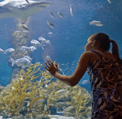 The Aquarium of Western Australia - Winery Find