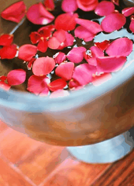 Ripple Brisbane Massage Day Spa And Beauty - Winery Find 2