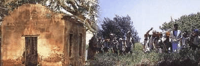 St Helena Island - Winery Find 1