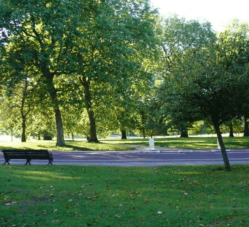 William Taylor Park - Winery Find