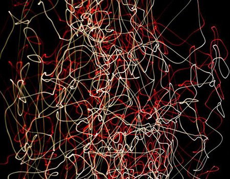 Eleven40 Gallery - Winery Find 1