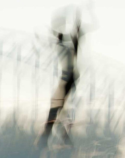 Eleven40 Gallery - Winery Find 2