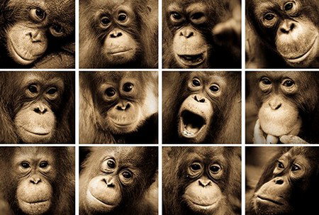 Eleven40 Gallery - Winery Find 3