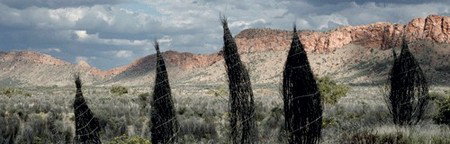 Australian Galleries - Winery Find 3