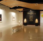 Counihan Gallery In Brunswick - Winery Find