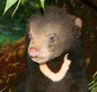 Perth Zoo - Winery Find 0