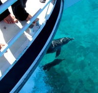 Pelican Charters - Winery Find