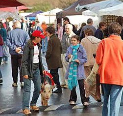 Arts Nunawading Inc - Winery Find 0