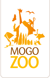 Mogo Zoo - Winery Find