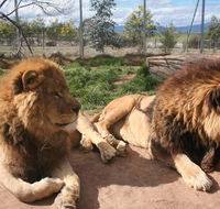 Mansfield Zoo - Winery Find