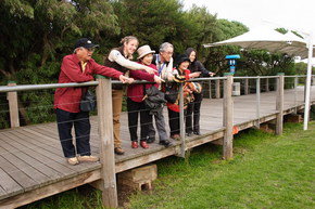 Phillip Island Penguin Parade - Winery Find 1