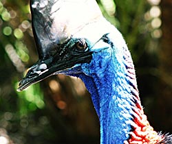 Alma Park Zoo - Winery Find 0