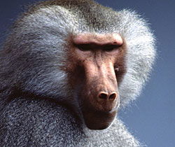 Alma Park Zoo - Winery Find 1