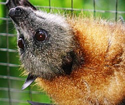 Alma Park Zoo - Winery Find 2