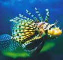 Underwater World - Winery Find