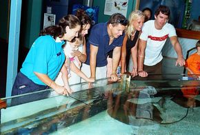 Underwater World - Winery Find 3