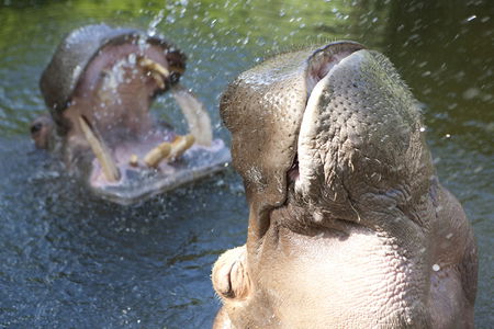 Adelaide Zoo - Winery Find 2