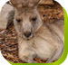 Calmsley Hill City Farm - Winery Find