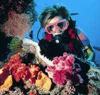 Gold Coast Seaway Dive Site - Winery Find