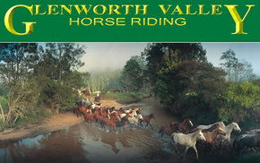 Glenworth Valley Horseriding - Winery Find 0