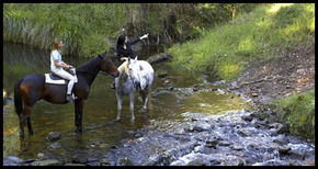Glenworth Valley Horseriding - Winery Find 1