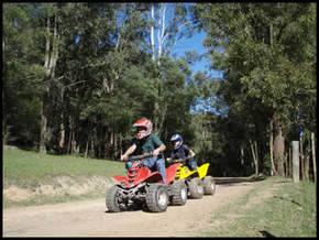 Glenworth Valley Horseriding - Winery Find 3