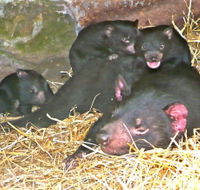 East Coast Natureworld - Winery Find