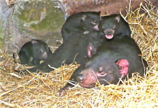 East Coast Natureworld - Winery Find 0