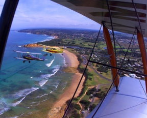 Tiger Moth World Adventure Park - Winery Find 1