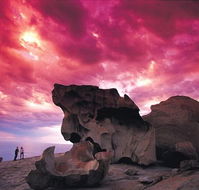 Kangaroo Island Adventure Tour 2 day/1 night - Winery Find