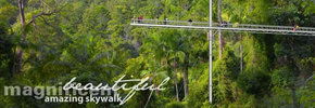 Rainforest Skywalk - Winery Find 2