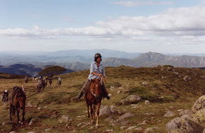 High Country Horses - Winery Find 0