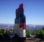 Mount Tamborine Winery  Homestead - Winery Find