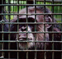 Rockhampton Zoo - Winery Find