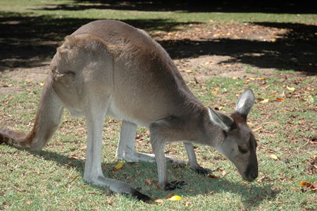 Bunbury Wildlife Park - Winery Find 1