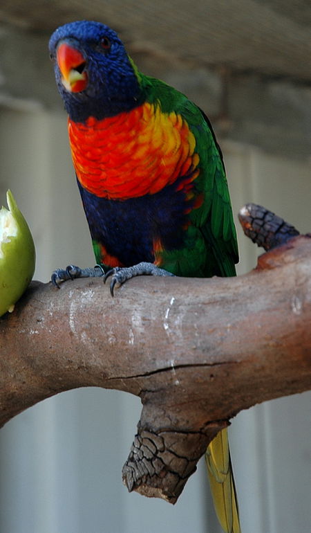 Bunbury Wildlife Park - Winery Find 3