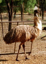 Waterways Wildlife Park - Winery Find 2