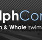 Dolphcom - Dolphin  Whale Swimming Adventures - Winery Find