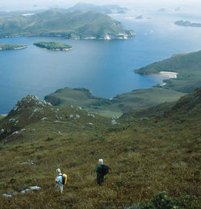 Roaring 40s Kayaking - Winery Find 1