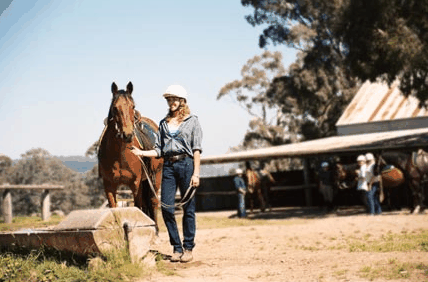 Watsons Trail Rides - Winery Find