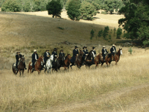 McCormacks Mountain Valley Trail Rides - Winery Find