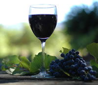  Winery Find