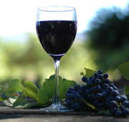 Lion Mill Vineyards - Winery Find