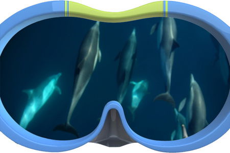 Dolphin Swim Australia - Winery Find 3