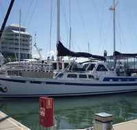Coral Sea Dreaming Dive and Sail - Winery Find