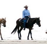 Ride the Beach - Winery Find