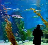 Melbourne Aquarium - Winery Find