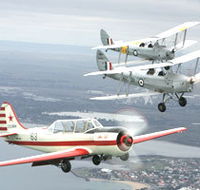 Vintage Tiger Moth Joy Flights - Winery Find