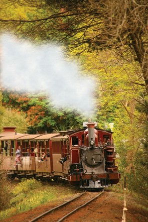 Puffing Billy - Winery Find 5